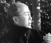 谌北新